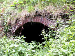 The remains of an old lime kiln a few metres above location 2